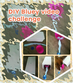 Diy mental games for dogs