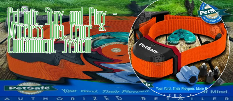 Petsafe stay and play
