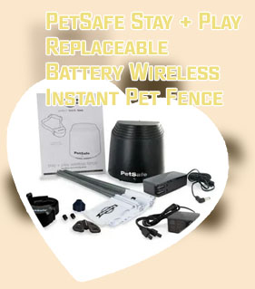 Stay and play wireless fence